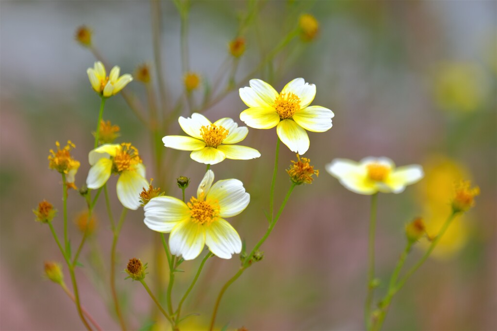 散歩の途中で、２