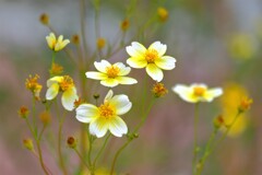 散歩の途中で、２