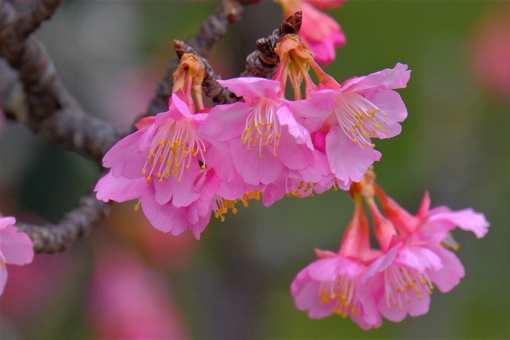 散歩の途中で。３