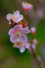 散歩の途中で。Ⅳ