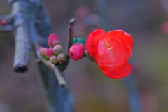 散歩の途中で。②