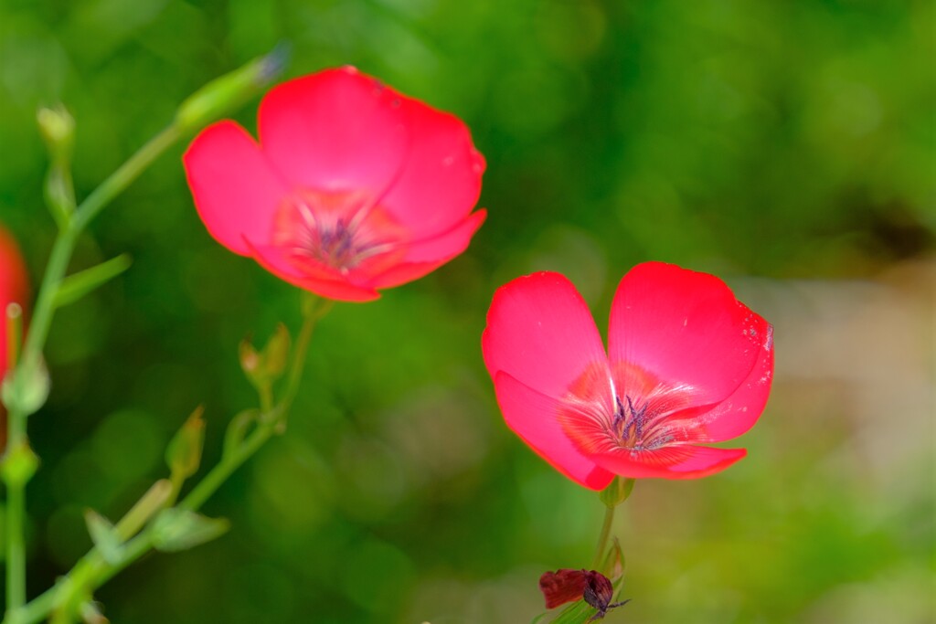 散歩の途中で。Ⅴ