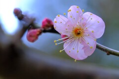 散歩の途中で。Ⅷ