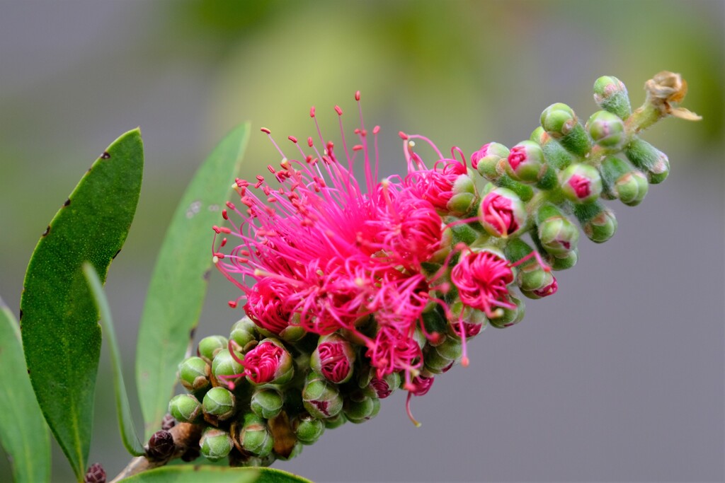 散歩の途中で。①