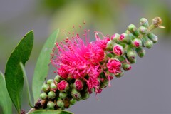 散歩の途中で。①