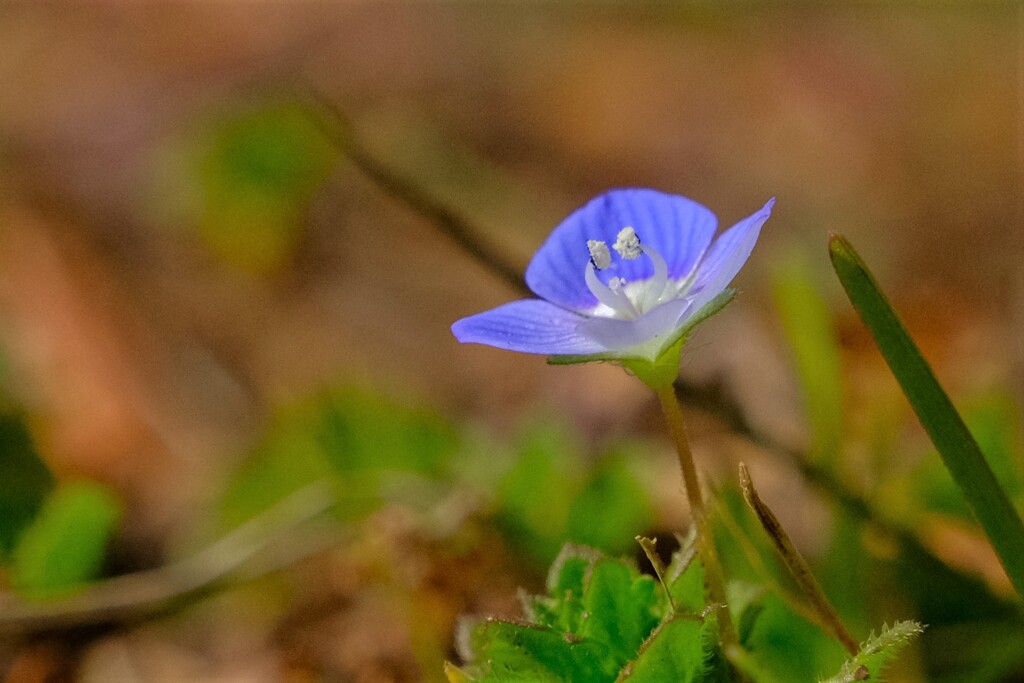 散歩の途中で。Ⅴ