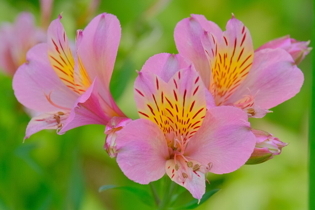 散歩の途中で。