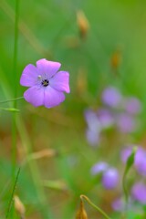 散歩の途中で。５