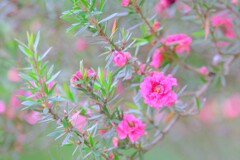 散歩の途中で。