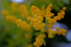 散歩の途中で。⑨