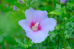 散歩の途中で。