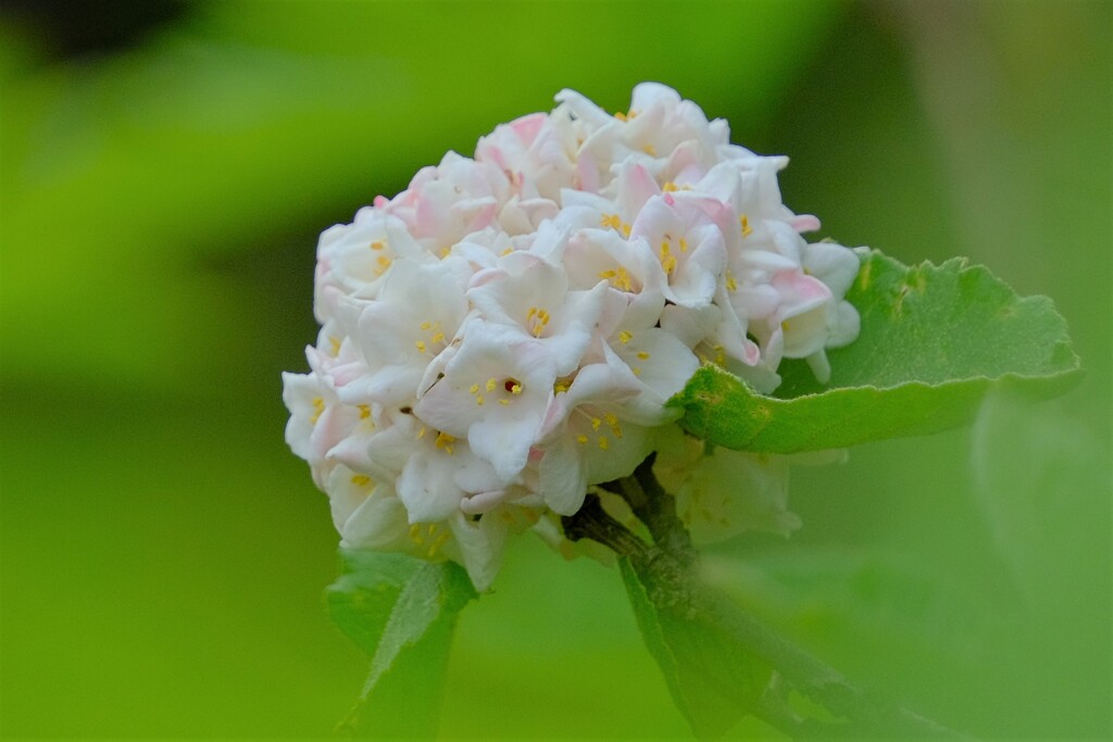 散歩の途中で。Ⅸ