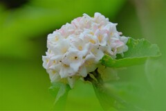 散歩の途中で。Ⅸ