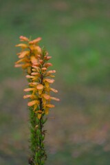 散歩の途中で。