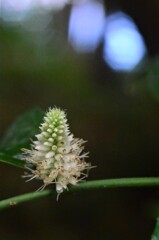 散歩の途中で。Ⅴ