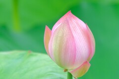 散歩の途中で。