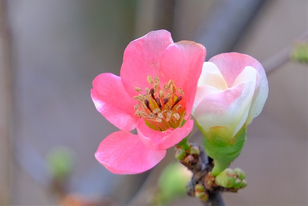 散歩の途中で。１