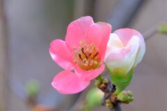 散歩の途中で。１