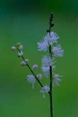 散歩の途中で。⑤