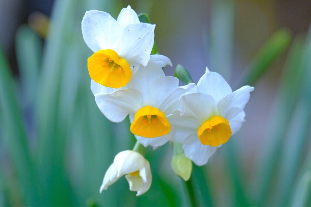 散歩の途中で。Ⅸ