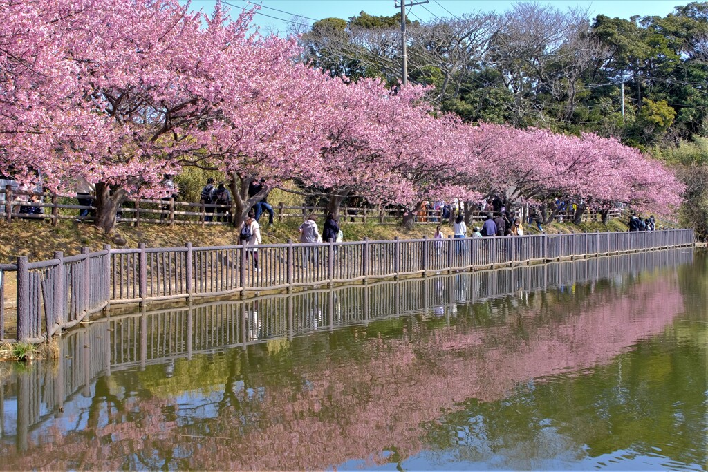散歩の途中で。②