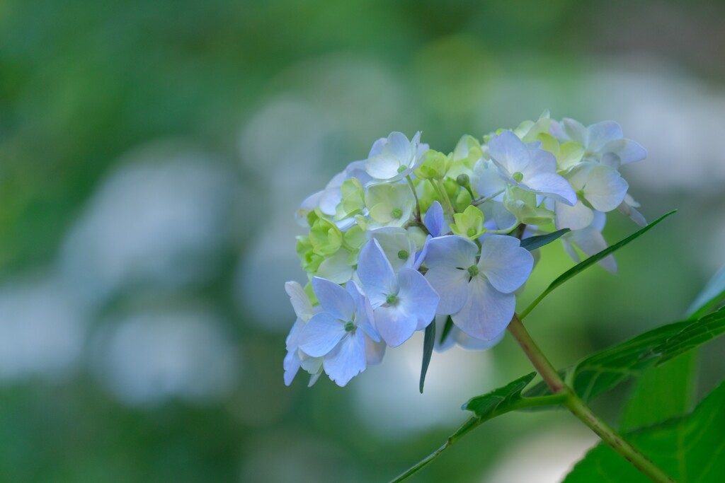 散歩の途中で。