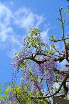 散歩の途中で。２