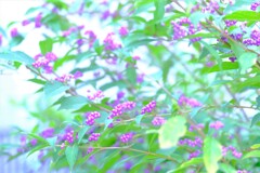 散歩の途中で。２