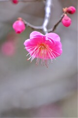 散歩の途中で。Ⅷ