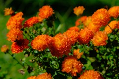 散歩の途中で。②