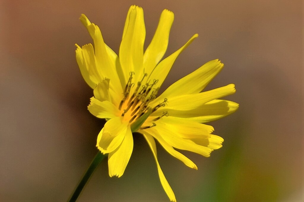 散歩の途中で。12