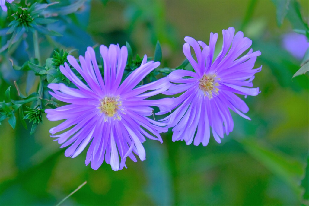 散歩の途中で。②