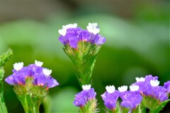 散歩の途中で。（６）