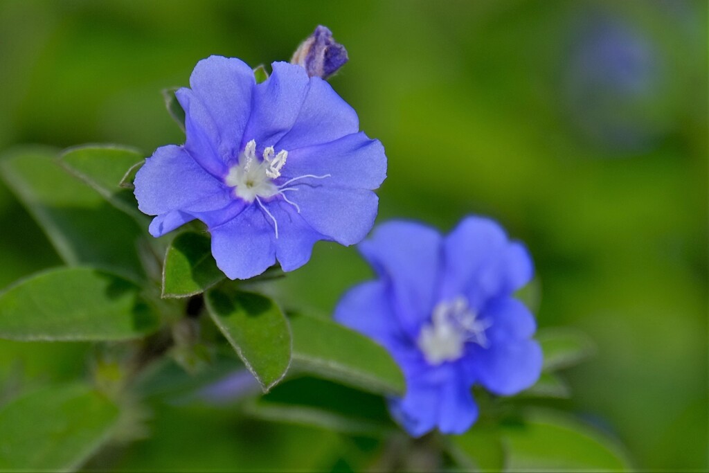 散歩の途中で。Ⅶ