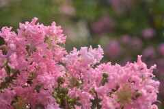 散歩の途中で。Ⅲ