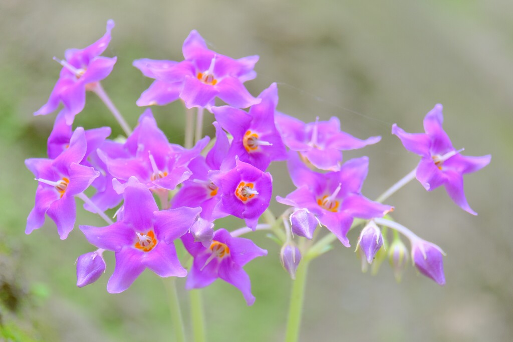 散歩の途中で。