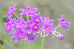 散歩の途中で。