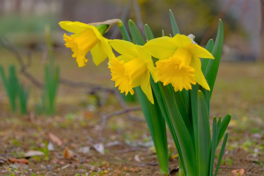 散歩の途中で。Ⅴ