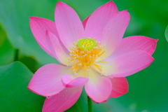 散歩の途中で。