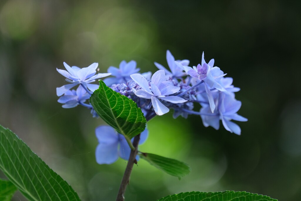 散歩の途中で。