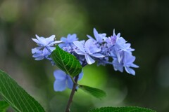 散歩の途中で。