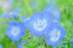 散歩の途中で。8