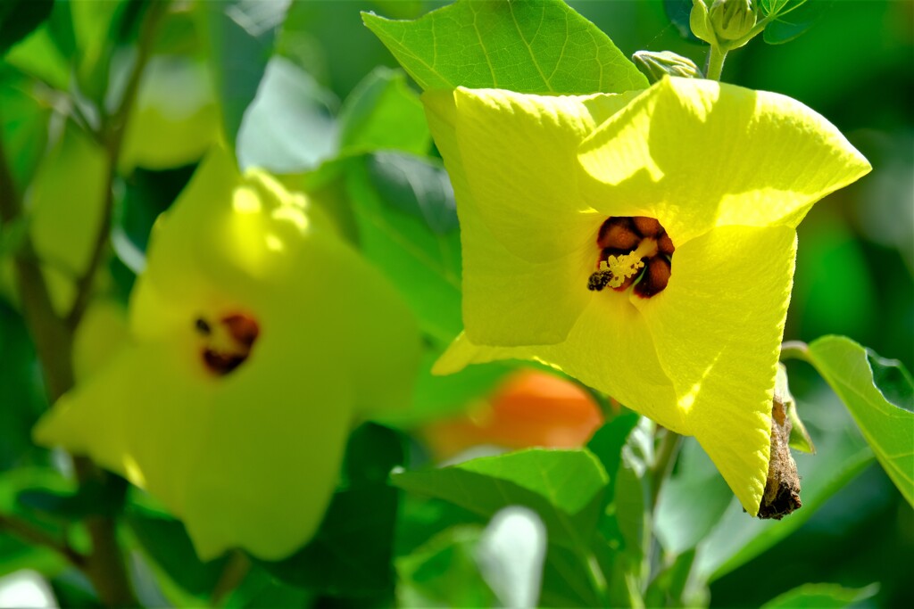 散歩の途中で。Ⅳ