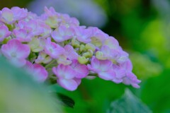 散歩の途中で。Ⅸ