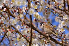 散歩の途中で。７