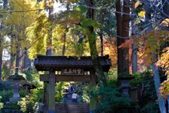 散歩の途中で。Ⅰ