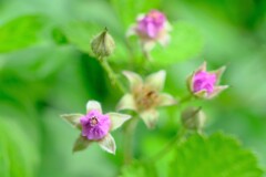 散歩の途中で。Ⅳ