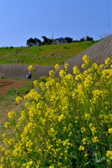 散歩の途中で。⑤