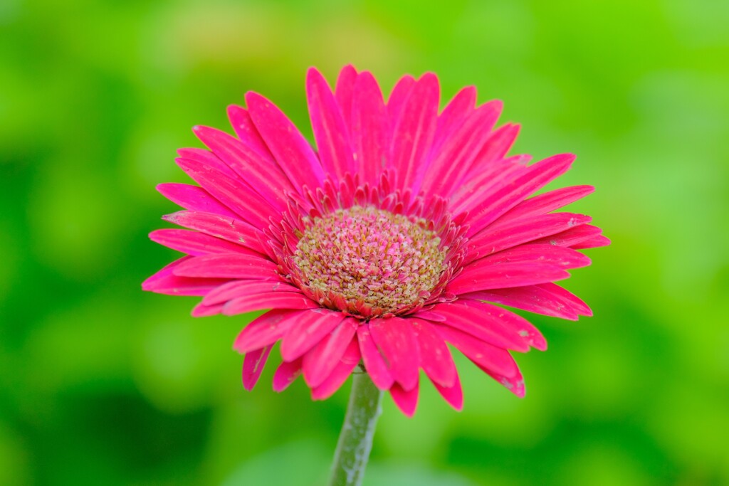 散歩の途中で。