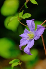 散歩の途中で。⑤